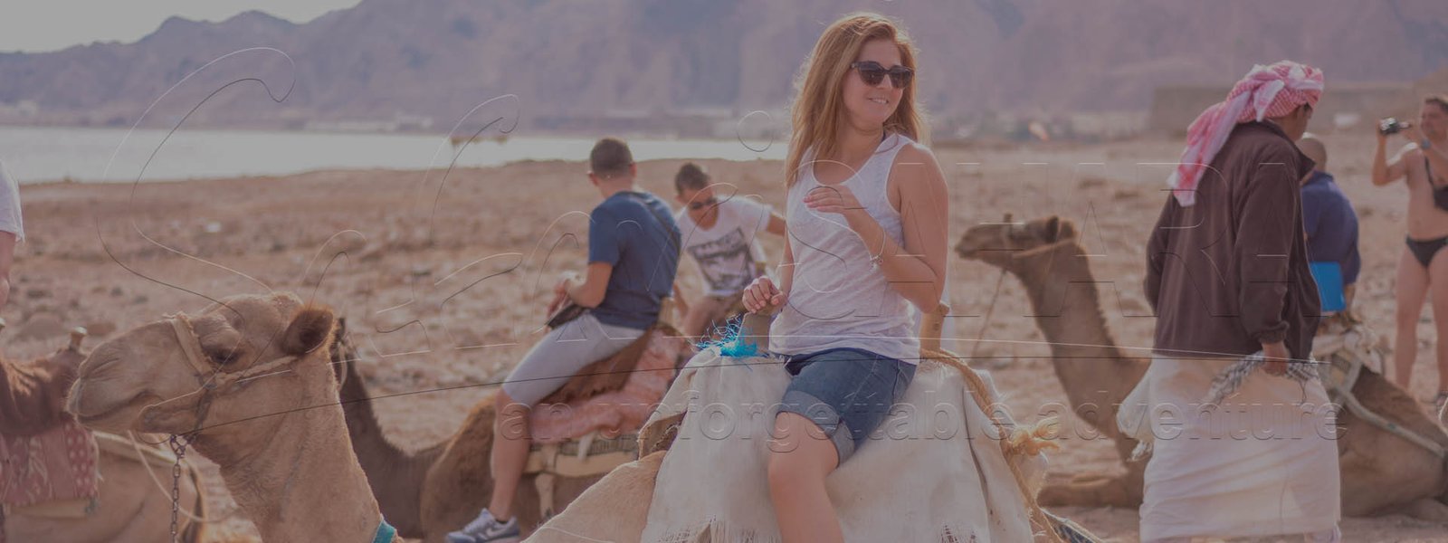 Excursii Safari Sharm El Sheikh